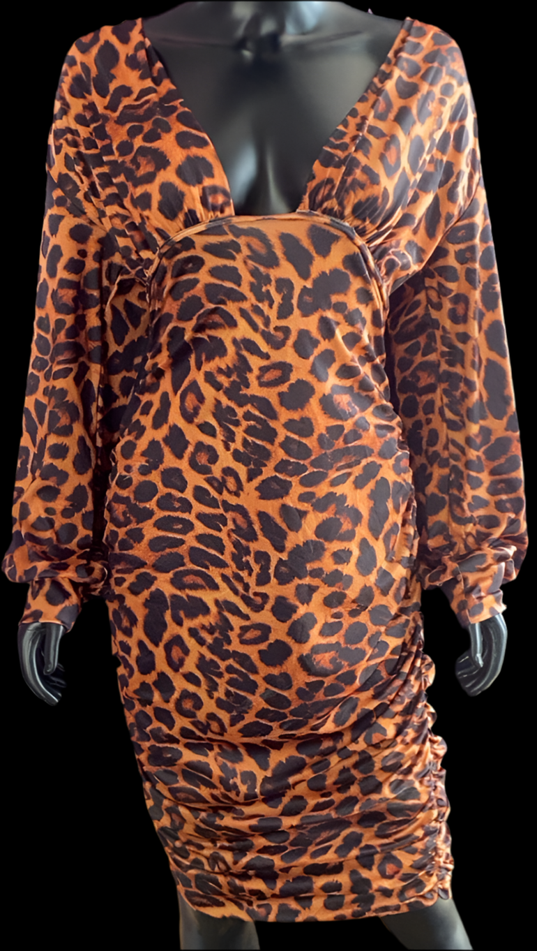 Sexy Cheetah Girl