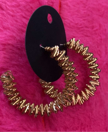 Ziggy Zag Earrings